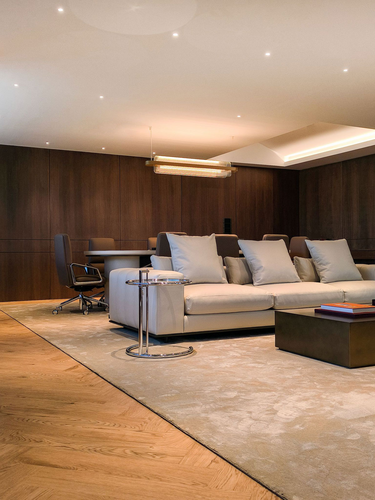 grafeio-ceo-polyethnikis-etaireias-2