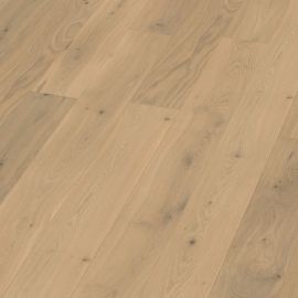Oak Calvi